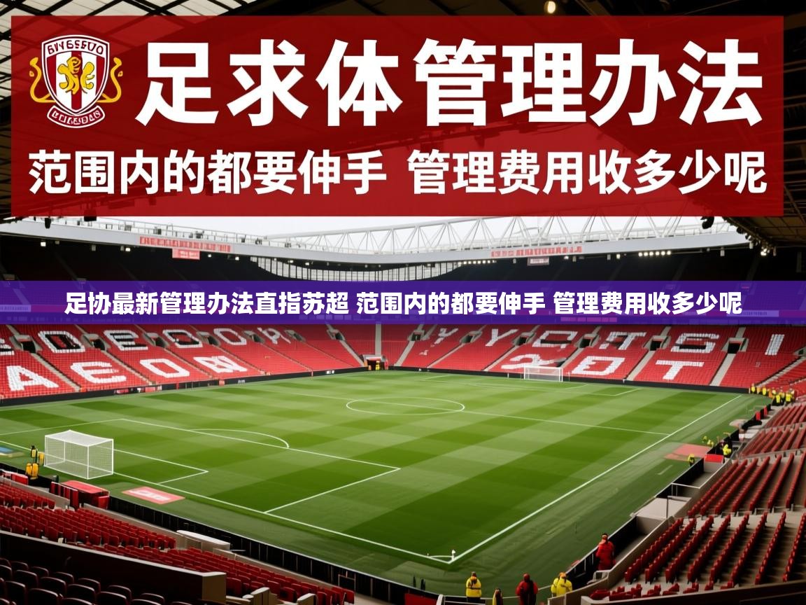 2025爱游戏体育网页版官方入口足协最新管理办法直指苏超 范围内的都要伸手 管理费用收多少呢 第1张