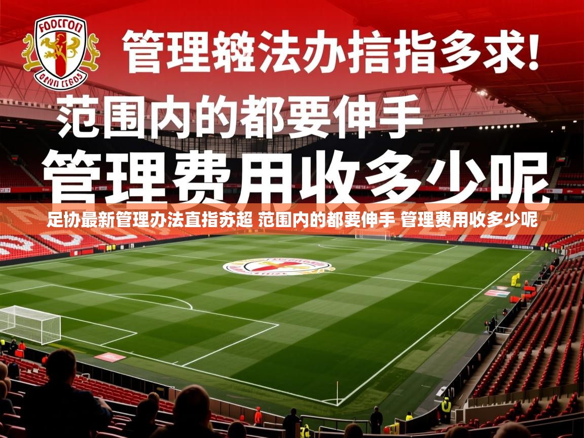 2025爱游戏体育网页版官方入口足协最新管理办法直指苏超 范围内的都要伸手 管理费用收多少呢 第2张