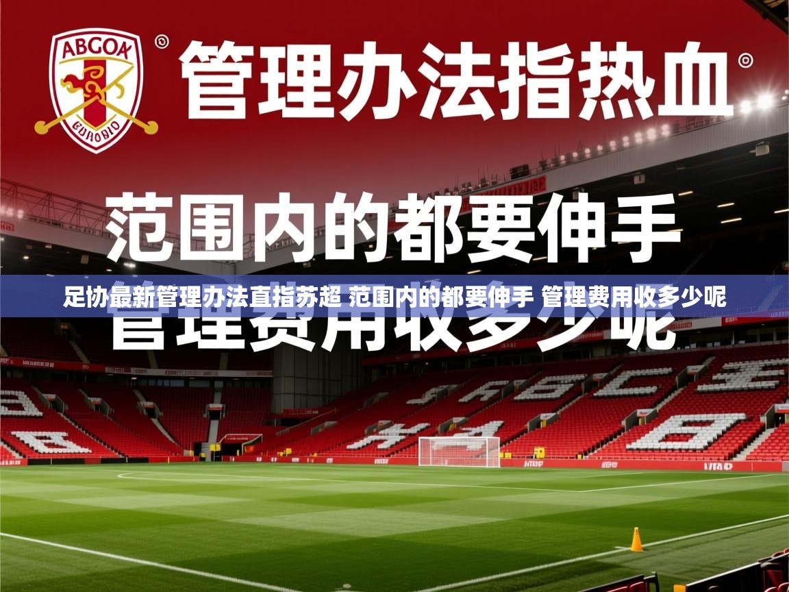 2025爱游戏体育网页版官方入口足协最新管理办法直指苏超 范围内的都要伸手 管理费用收多少呢 第3张