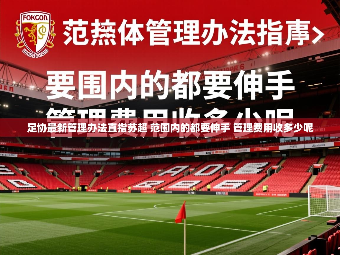 2025爱游戏体育网页版官方入口足协最新管理办法直指苏超 范围内的都要伸手 管理费用收多少呢 第4张