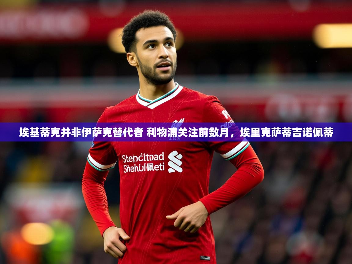 2025爱游戏体育在线投注埃基蒂克并非伊萨克替代者 利物浦关注前数月,埃里克萨蒂吉诺佩蒂 第4张