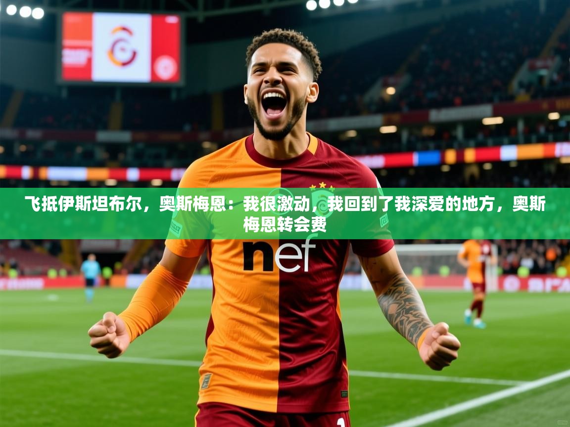 2025爱游戏体育注册活动飞抵伊斯坦布尔,奥斯梅恩:我很激动,我回到了我深爱的地方,奥斯梅恩转会费 第1张