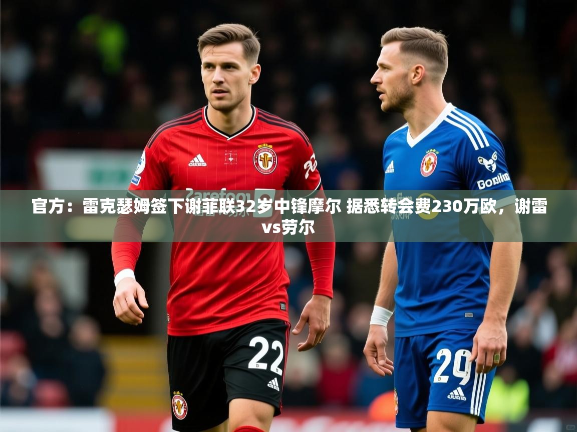 2025爱游戏体育在线登录入口官方：雷克瑟姆签下谢菲联32岁中锋摩尔 据悉转会费230万欧，谢雷vs劳尔  第4张