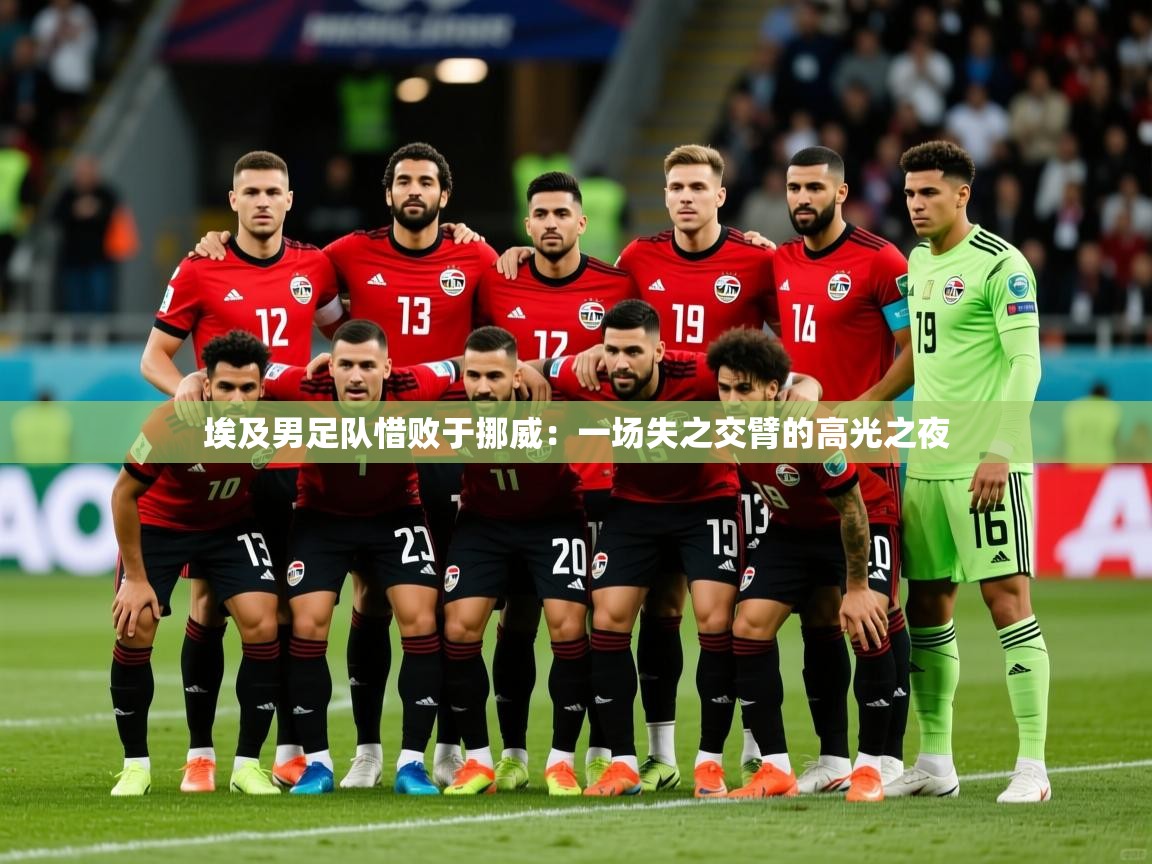 2026爱游戏体育注册首页埃及男足队惜败于挪威：一场失之交臂的高光之夜  第2张
